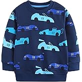 AIWUHE Toddler Boys Girls Sweatshirt Crewneck Pullover Long Sleeve Tops Blouse Cotton T-Shirt Fall Winter Clothes 2-6Y