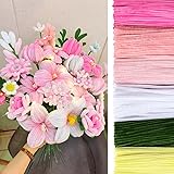 Peryiter 500 Pieces Pipe Cleaners Chenille Stems 12