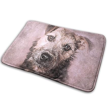 Amazon Com Dog Painting Bath Mat Non Slip Front Door Mat