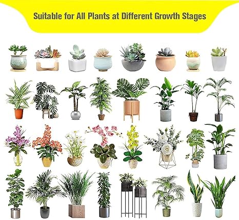 17++ 4 learning plants and photosynthesis tv rom ideas in 2021