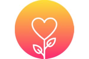 Gratitude Journal, Affirmations and Vision Board