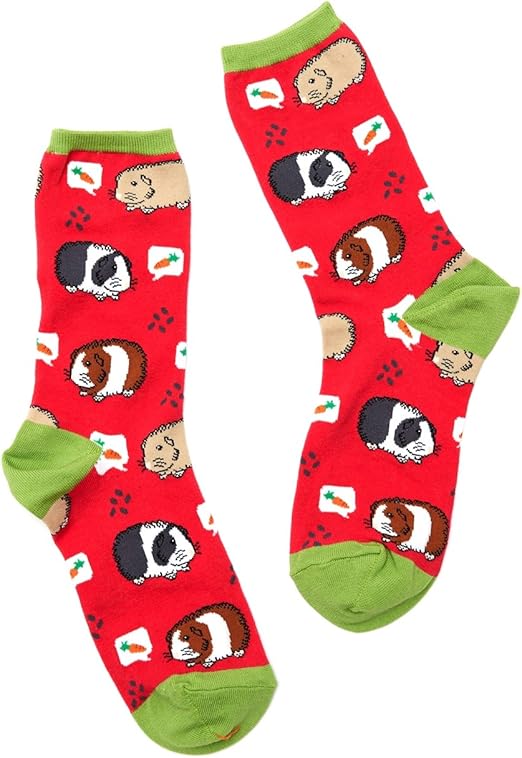guinea pig socks