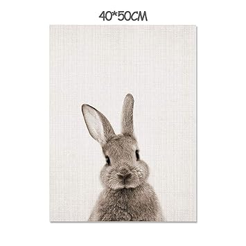 Amazon Com Black White Baby Animal Rabbit Tail Canvas Art Print