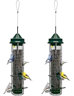 Amazon Com Squirrel Buster Classic 5 3 X5 3 X32 W Hanger Wild