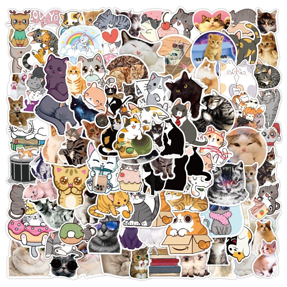 View 2