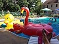 giant flamingo float amazon