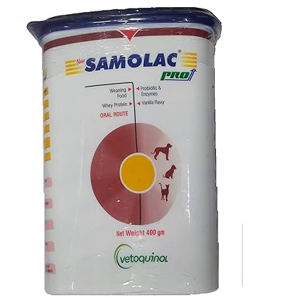 pug with separation anxiety