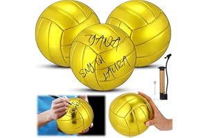 WinnerWhy 3/6/12 Pcs Gold Autograph Volleyball Official Size 2 Mini Trophy Volleyball Golden Custom with Air Pump for Trophies Anniversary College Coaching Gift Awards Party