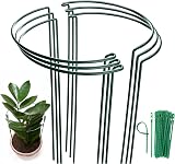 MUAEEOK 6 Pack Plant Support Stakes 30x50cm Half Round Cage