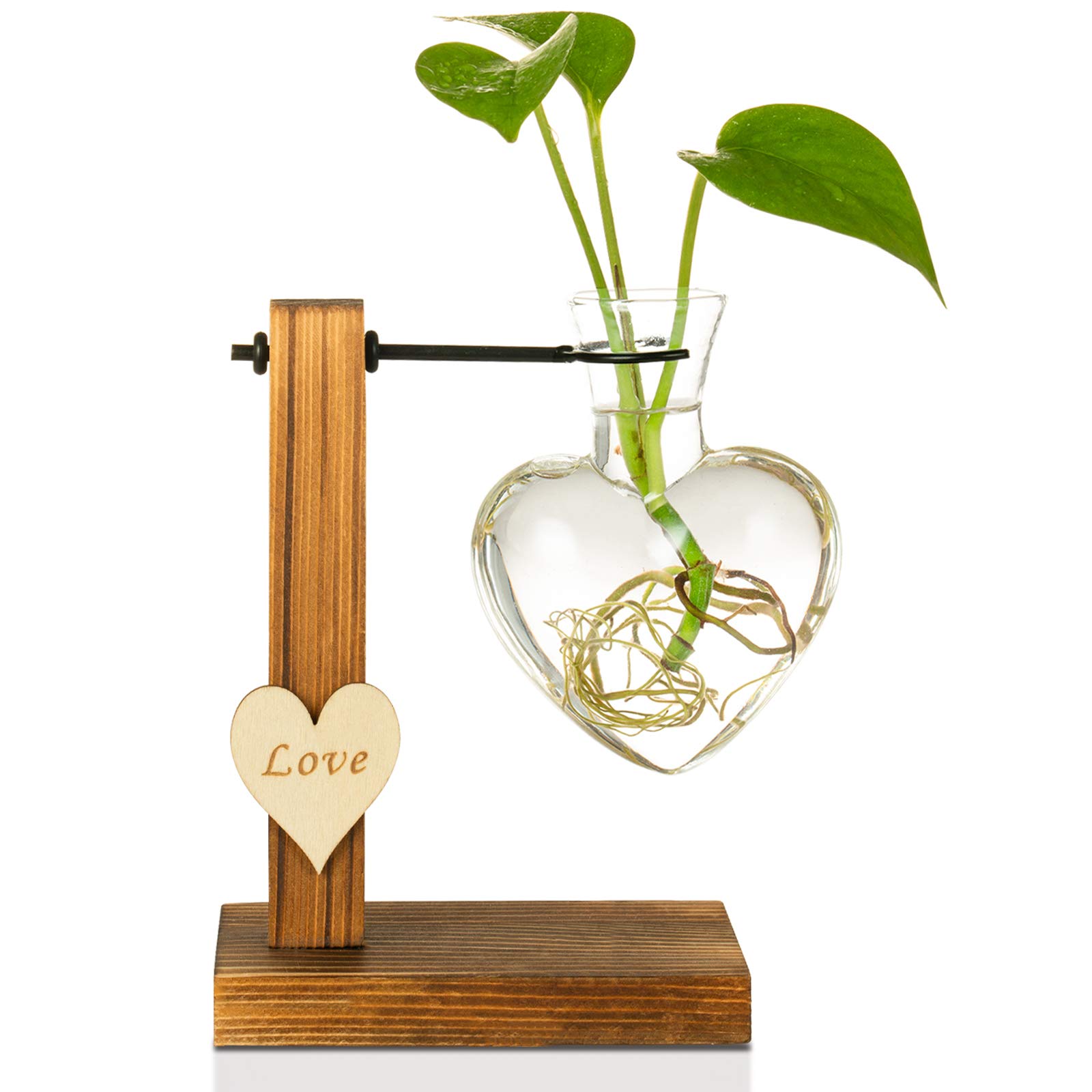 Buy Kingbuy Hydroponic Glass Vase Vintage Desktop Plant Terrarium