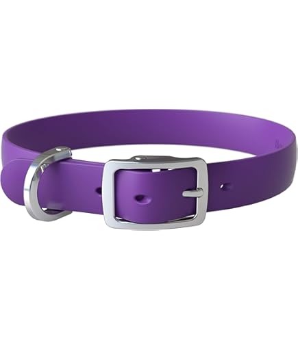 Regal Dog Products Waterproof Collar For Small To Large