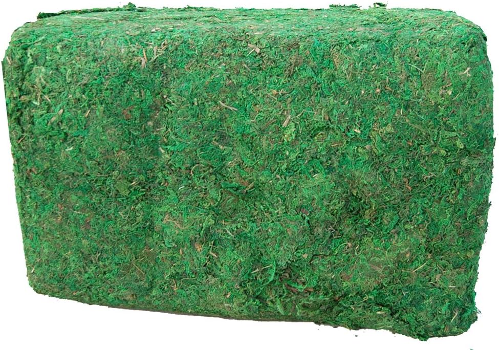 Green Moss 11 LB Bale