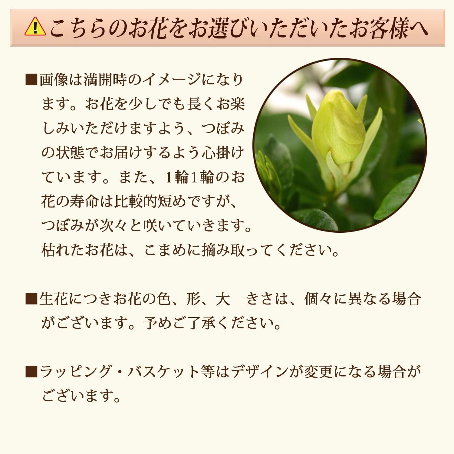 Amazon 花のギフト社 母の日 ガーデニア くちなし 鉢花 花鉢 鉢植え プレゼント 花 鉢 フラワーギフト 観葉植物 オンライン通販