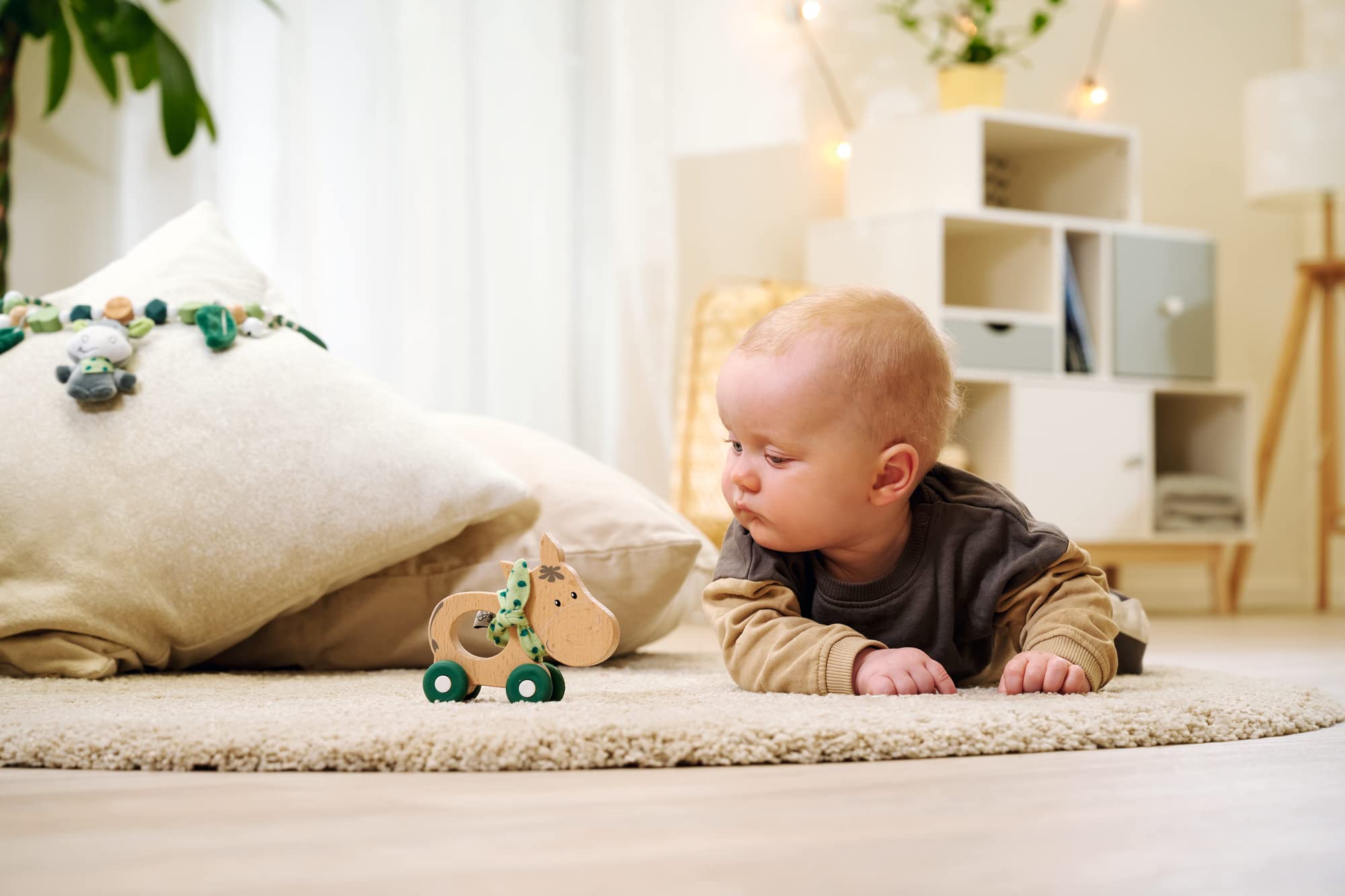Eichhorn EH Baby Hipp Schiebe-Esel 3
