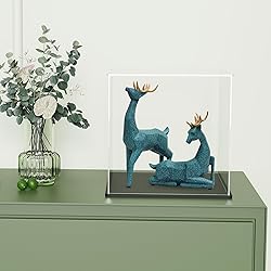 QIMOND 8 Inch Acrylic Display Case for