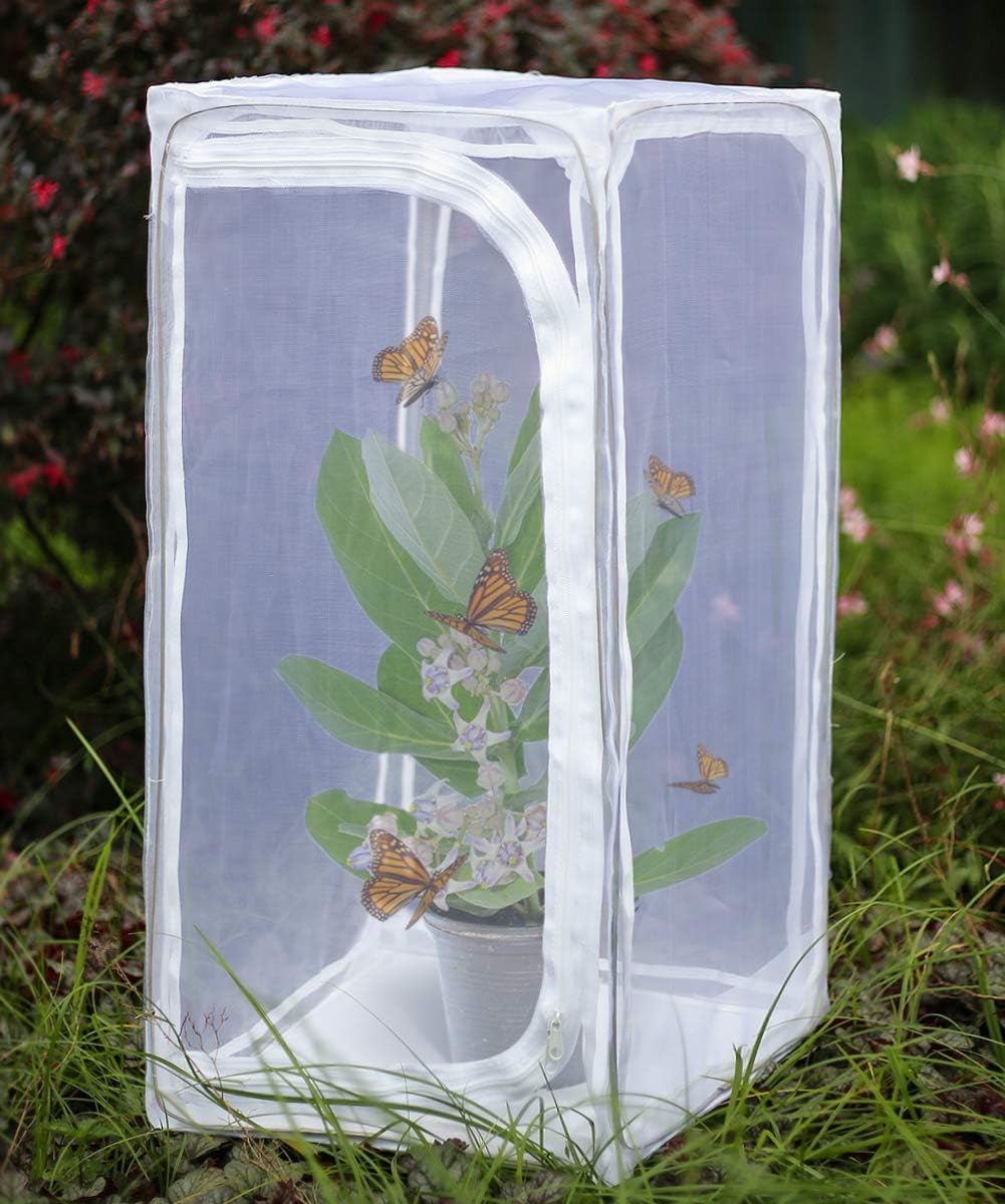 RESTCLOUD 30" Heavy Duty Monarch Butterfly Habitat, Outdoor