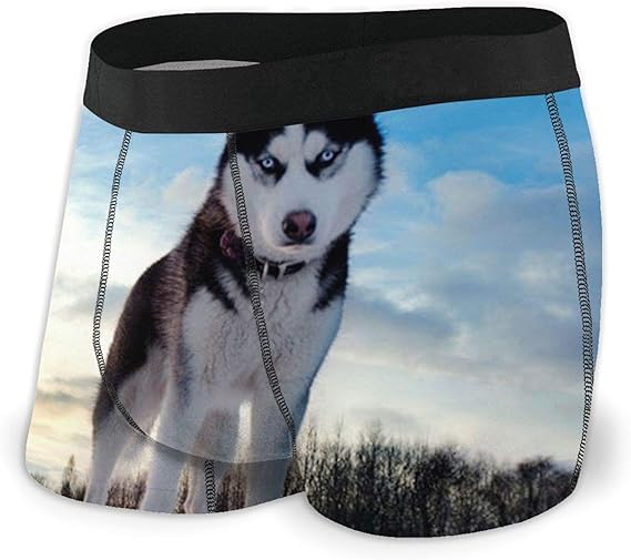 Animal Cute Dog Husky Men's Underwear Boxer Briefs Cotton Sport