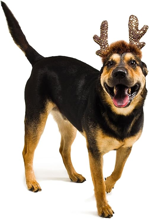 Kyjen Weihnachtsgeweih für Hunde, mit LEDBeleuchtung, groß Amazon.de
