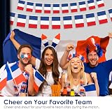 AhfuLife 15 Pcs France Flags on Sticks 14x21cm 30cm Pole Party Decor view 5