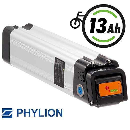 Phylion Akku XH259-13J für E-Bike Pedelec 24V 13Ah für u.a. MiFa, Rex, Prophete