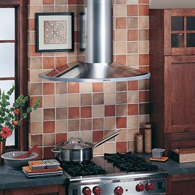 broan elite rangemaster