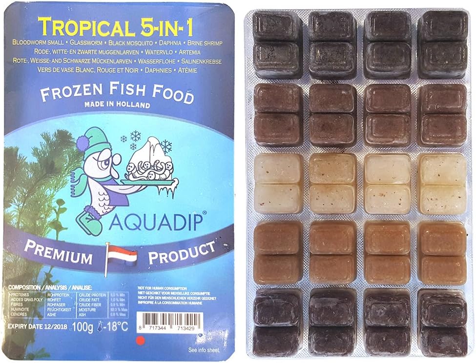 airedale terrier kennel club