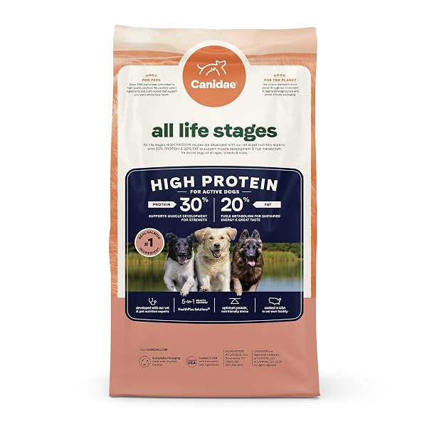 CANIDAE ALL LIFE STAGES HIGH PROTEIN DRY DOG FOOD, SALMON & ANCIENT GRAINS RECIPE, 4 LBS.