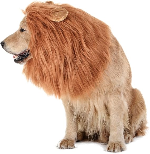 lion dog cost