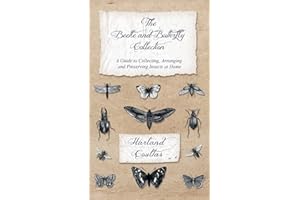 Beetle and Butterfly Collection - A Guide to Collecting, Arranging and Preserving Insects at Home
