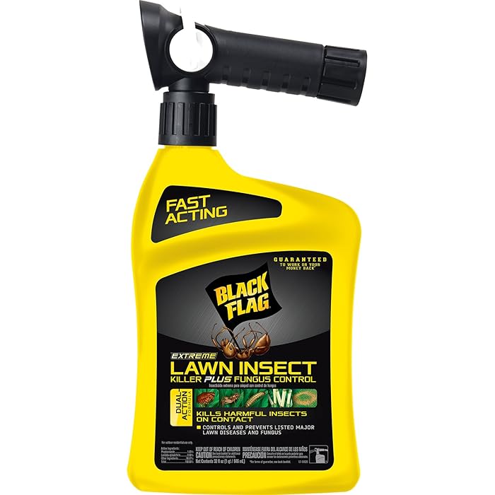 Updated 2021 – Top 10 Black Flag Home Insect Control Concentrate