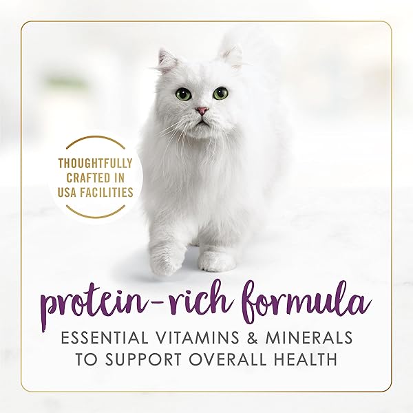 PURINA FANCY FEAST SENIOR WET CAT FOOD 7 YEARS PLUS BEEF FEAST PATE – (PACK OF 24) 3 OZ. CANS