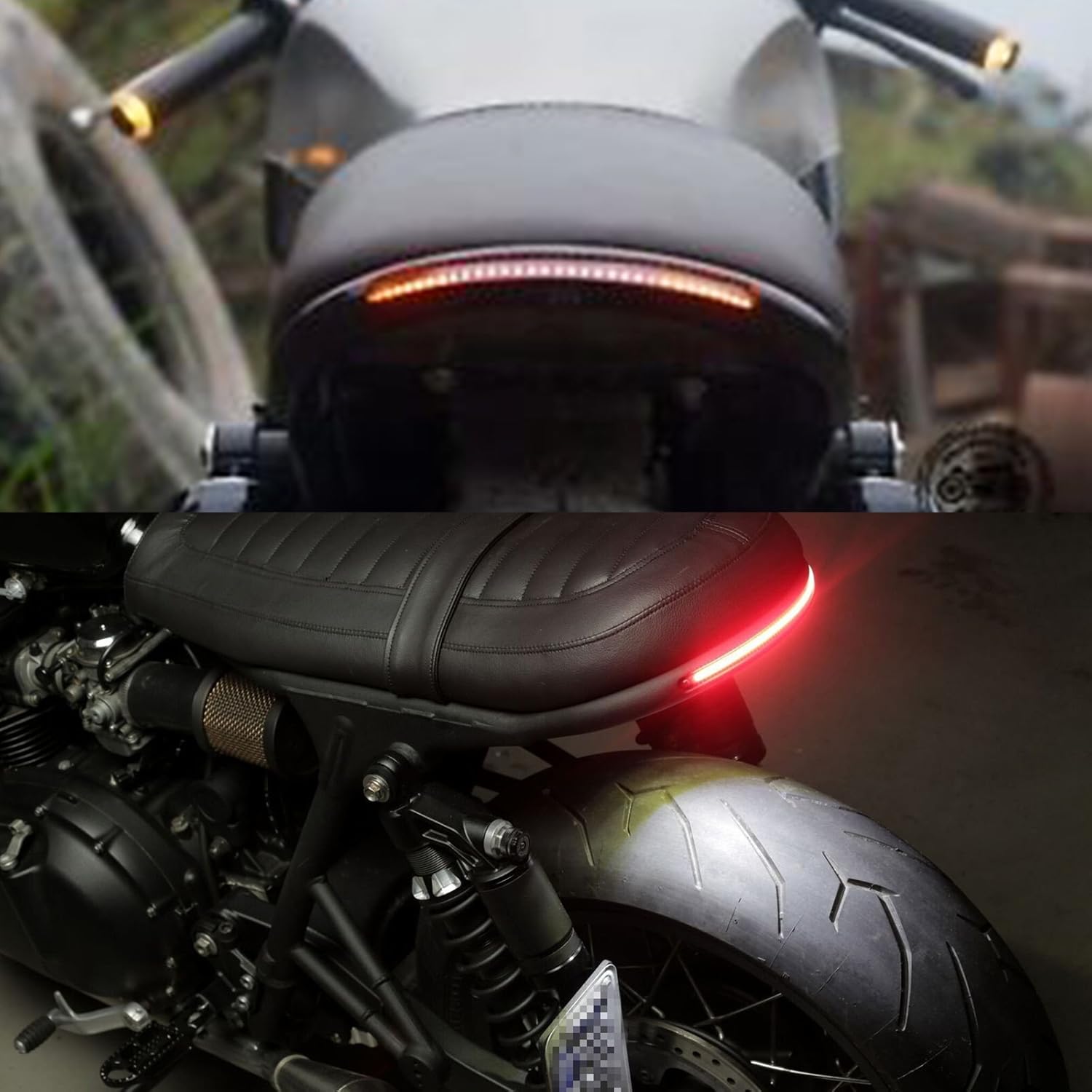 TARAZON 1 Cafe Racer Seat Frame Loop Hoop Cerceau de siège et LED DEL