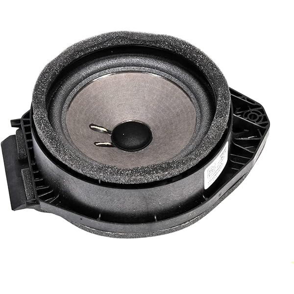 Amazon.com: GM Genuine Parts 85537426 Radio Front Side Door  