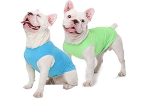 SyChien Dog Blank Quick Dry Shirts,Lightweight Summer Solid Dogs Medium Clothes,Sleeveless Tshirt,Green/Blue,M