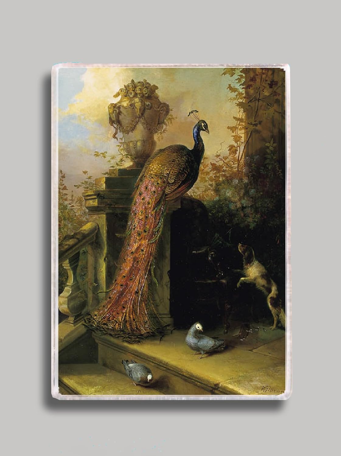 The 9 Best Classic Peacock Refrigerator Magnet