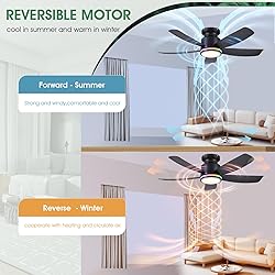 Ceiling Fans with RGB Lights and Remote/APP