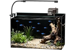 MINILAKE Glass Fish Tank Kit, 5 Gallon Betta Fish Tank Aquarium Starter Kit with Filter, Lights, Lid, for Betta, Goldfish, Small Fish or shrimg