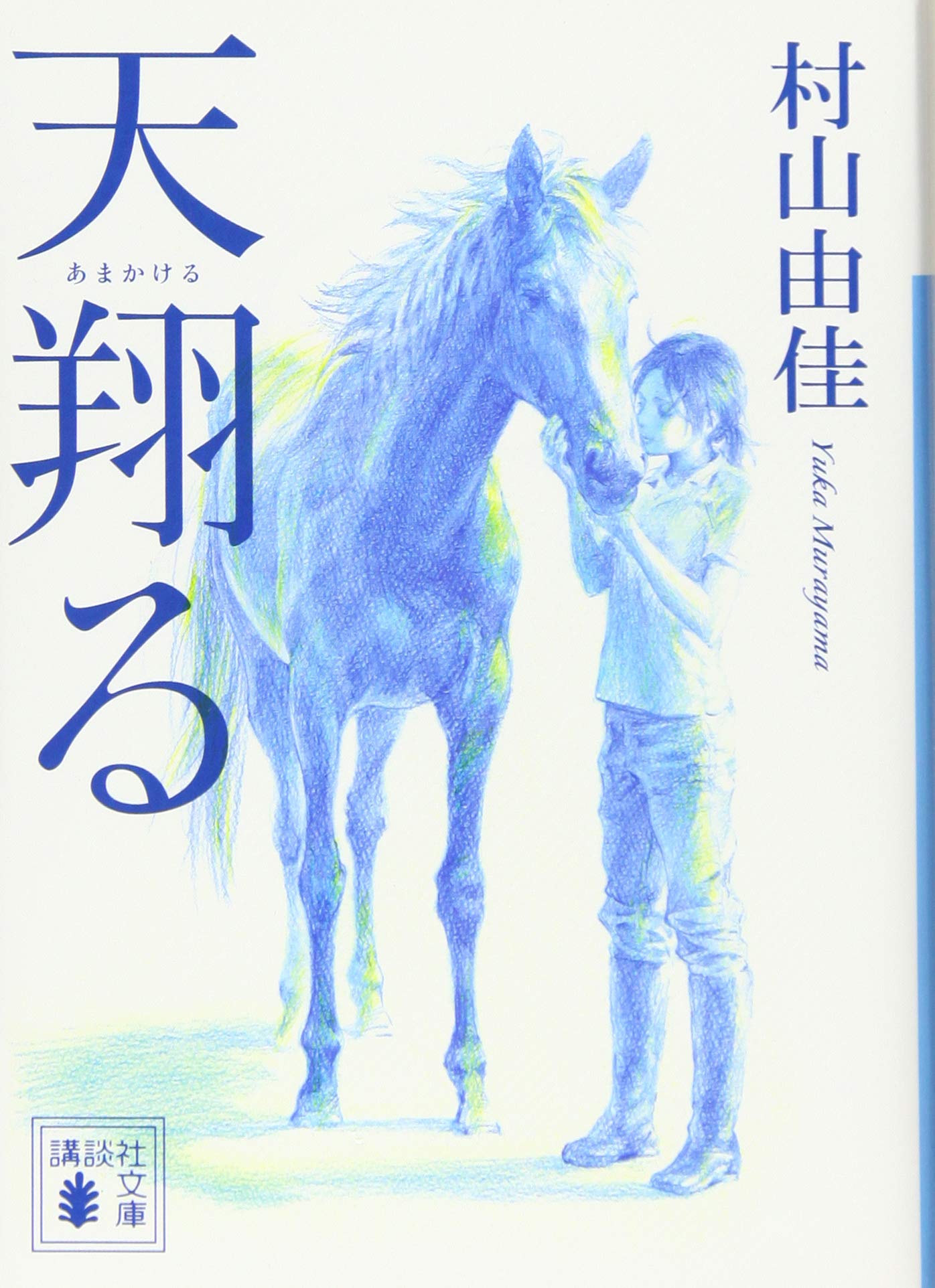 天翔る