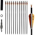 e5e10 31inch Carbon Arrow Archery Targeting Practice Hunting Arrows for Compound & Recurve Bow with Removable Tips(Pack of 12)