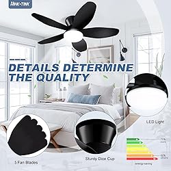 Nink Tink Small Ceiling Fans with Lights - 35 Inch