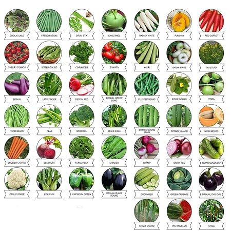 FLARE SEEDS Vegetable Seeds Combo Pack of 45 Varities