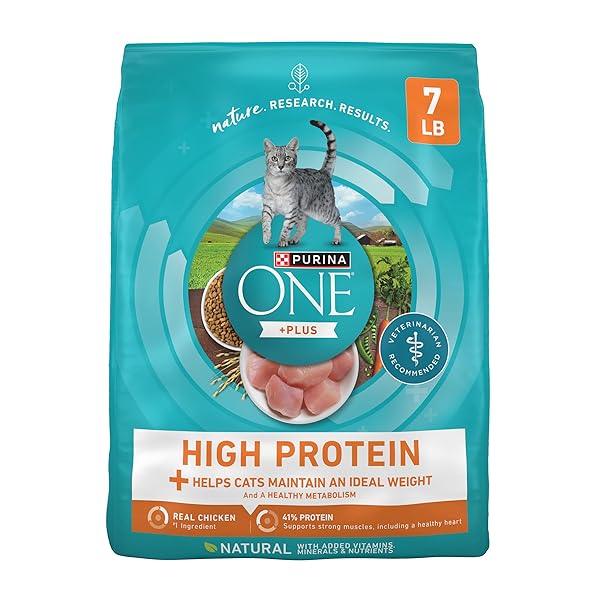 PURINA ONE HIGH PROTEIN, HEALTHY PLUS IDEAL WITH CHICKEN DRY CAT FOOD CONTROL FORMULA – 7 LB. BAG