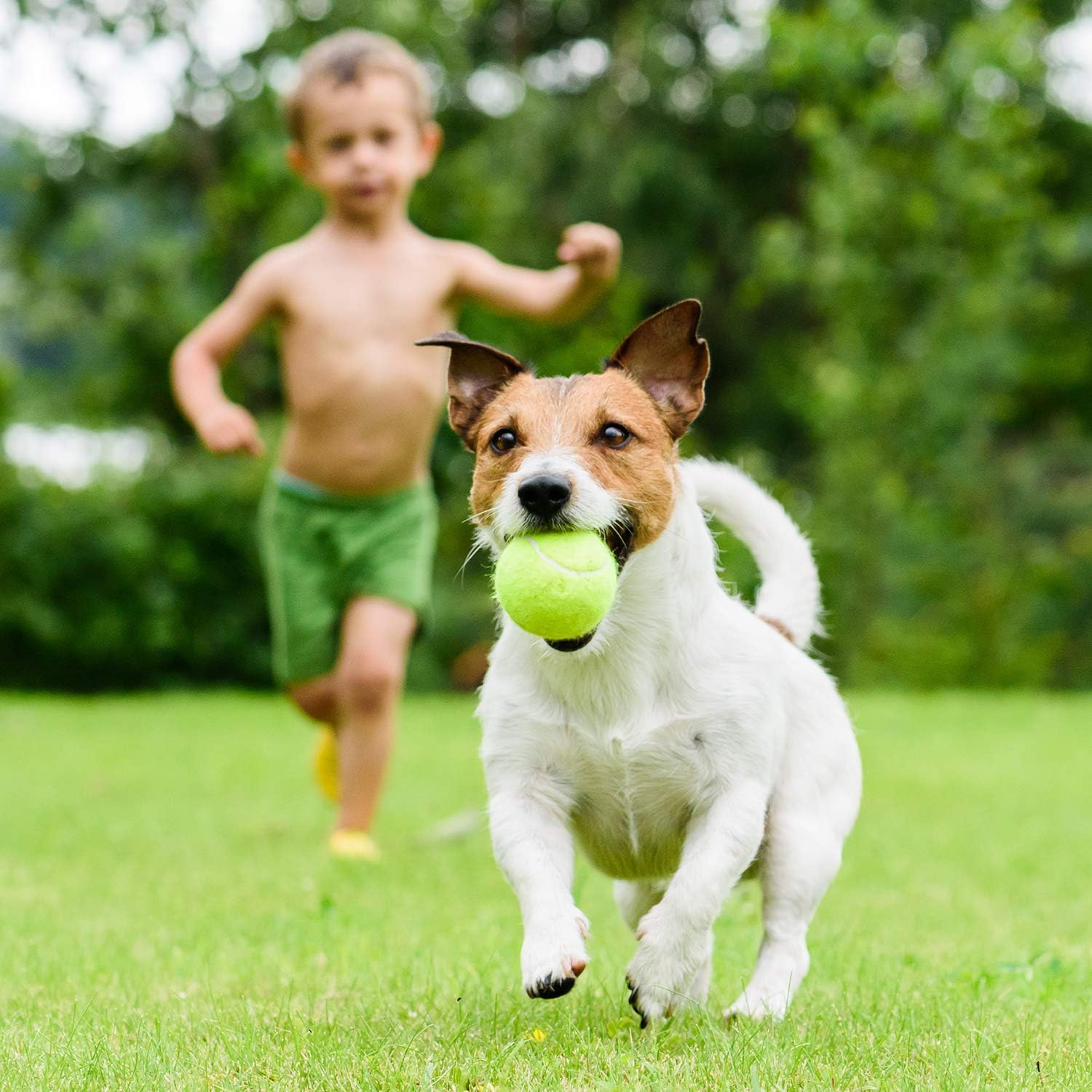 Gejoy Tennis Ball Trainer Tennis Training Tennis Trainer Ball with String Self Practice Training Tennis Ball Tool Tennis Equipment for Tennis Training Supply: Sports & Outdoors