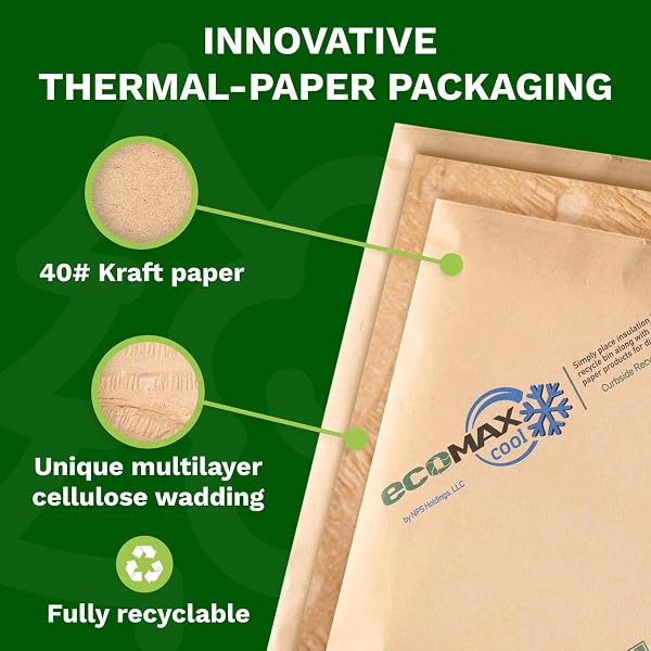 IDL PACKAGING 10″ X 10″ X 10″ INSULATED SHIPPING BOX, 1.5-GALLON CAPACITY, PACK OF 1 – INCLUDES ECOMAX™ THERMAL-PAPER LINERS, ABSORB CONDENSATION – FOR FROZEN FOOD, MEAT, OR FISH