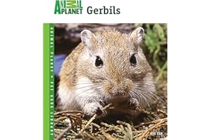 Gerbils (Animal Planet Pet Care Library)