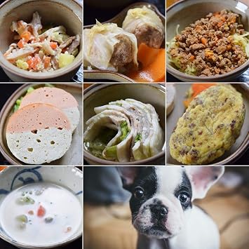 Amazon 愛犬用手作り食 低リンで腎臓に優しい7食aセット ハウンドカム食堂 レンジでチンするだけ ハウンドカム食堂 ウェット 通販
