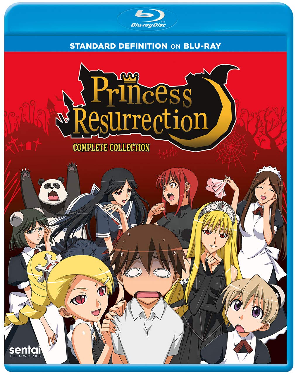 Get Amazon Com Princess Resurrection Blu Ray Ayako Kawasumi Free Wallpaper Amazon Com Princess Resurrection Blu Ray Ayako Kawasumi Free HD