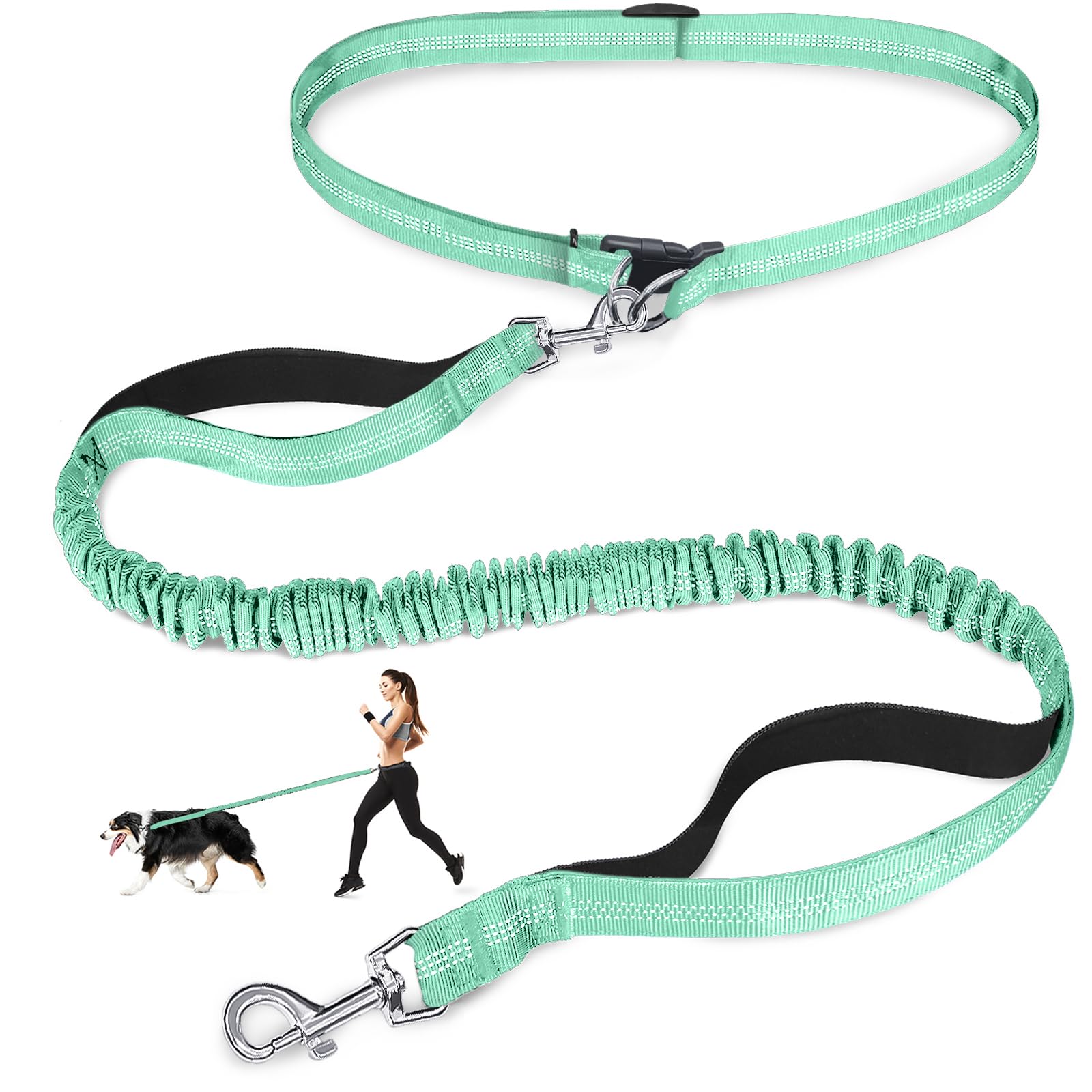 Photo 1 of Laqibak Hands Free Dog Leash, Adjustable Waist Leash for Dog, Handle Bungee 4.2-6.7 Feet Long with Reflective Stitches for Walking Hiking Running, Fits 26"- 43" Waist, Mint Green