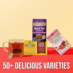 Twinings Blackcurrant Breeze Black Tea Individually