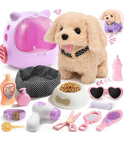 Amazon.com: JOYPALETTE Chiiwa, 1 Piece (x1) : Toys & Games